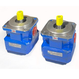 包邮 20R M1432B磨床M1332BGPA2 MQ1350齿轮油泵 外圆磨床油泵