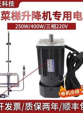 普菲德传菜梯升降专用电机250W三相220v 6RK250A-SFM 6RK400A-SFM