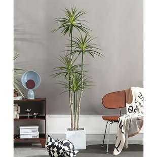 新款铁树仿真绿植室内长青仿真树假树落地橱窗造景假植物