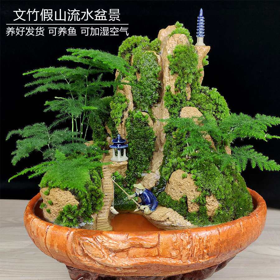 山水盆景六月雪罗汉松文竹盆栽树桩悬崖植物室内吸水假山石小绿植