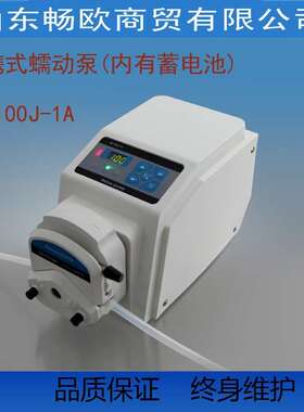 HUIYU慧宇蠕动泵-1A/YZ15自带蓄电池便携式野外蠕动泵实验室