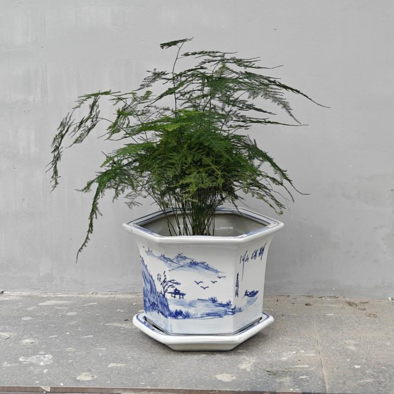 陶瓷花盆温青花瓷带托盘兰花绿萝盆景老庄花卉八角盆多肉盆