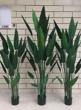 外贸款仿真天堂鸟大型绿植盆栽居家造景摆件室内酒店装饰仿真植物