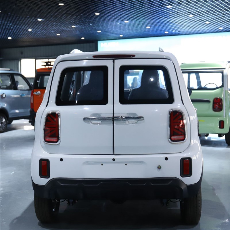 电动四轮家用新能源油电两用女士小型低速空调全封闭成人代步汽车