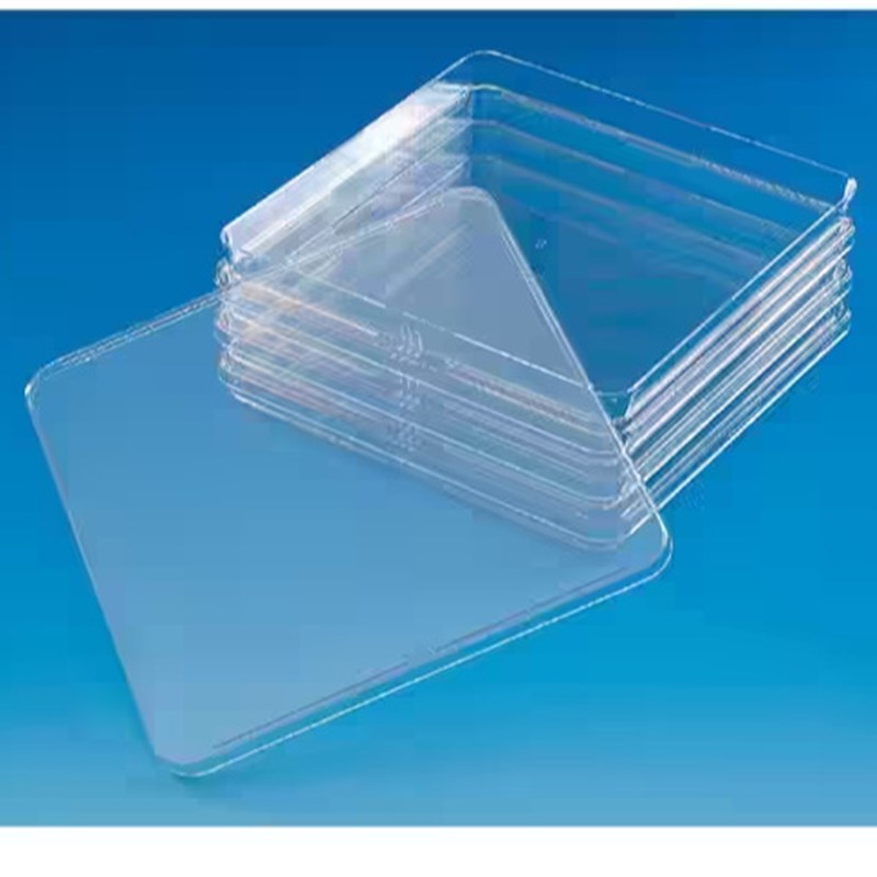 赛默飞NUNC 240845 Bio-Assay培养皿,低外形