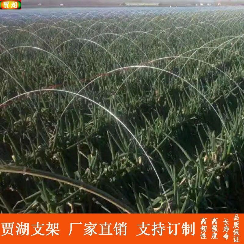 小拱棚支架拱杆育苗棚菜棚花棚保温棚玻璃纤维杆防虫网遮阳网格坤