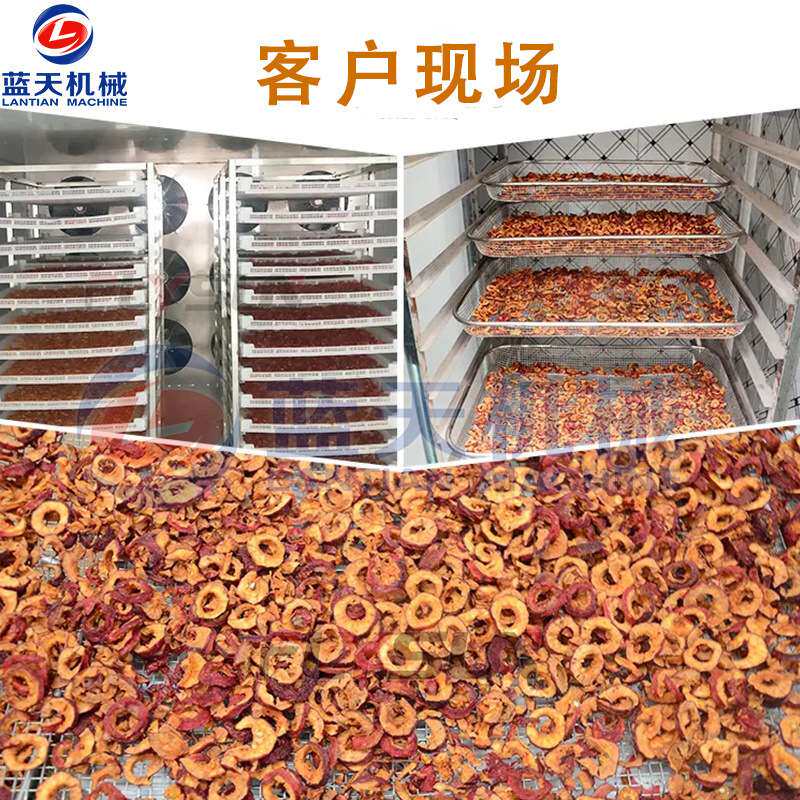 八棱海棠果烘干机 电加热小型海棠果切片烘干箱 海红果干烘干设备