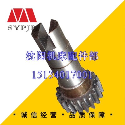 沈阳中捷镗床配件TPX6113 齿轮轴10355 Z19 L22 M3 T6113齿轴齿轮