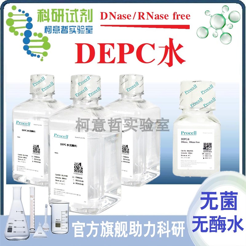 DEPC水 500mL无酶无菌水(DNase/RNase free) DEPC处理水 品质优选