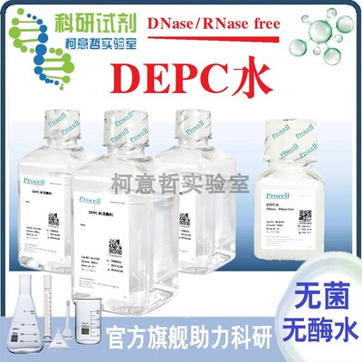 DEPC水 500mL无酶无菌水(DNase/RNase free) DEPC处理水 品质优选