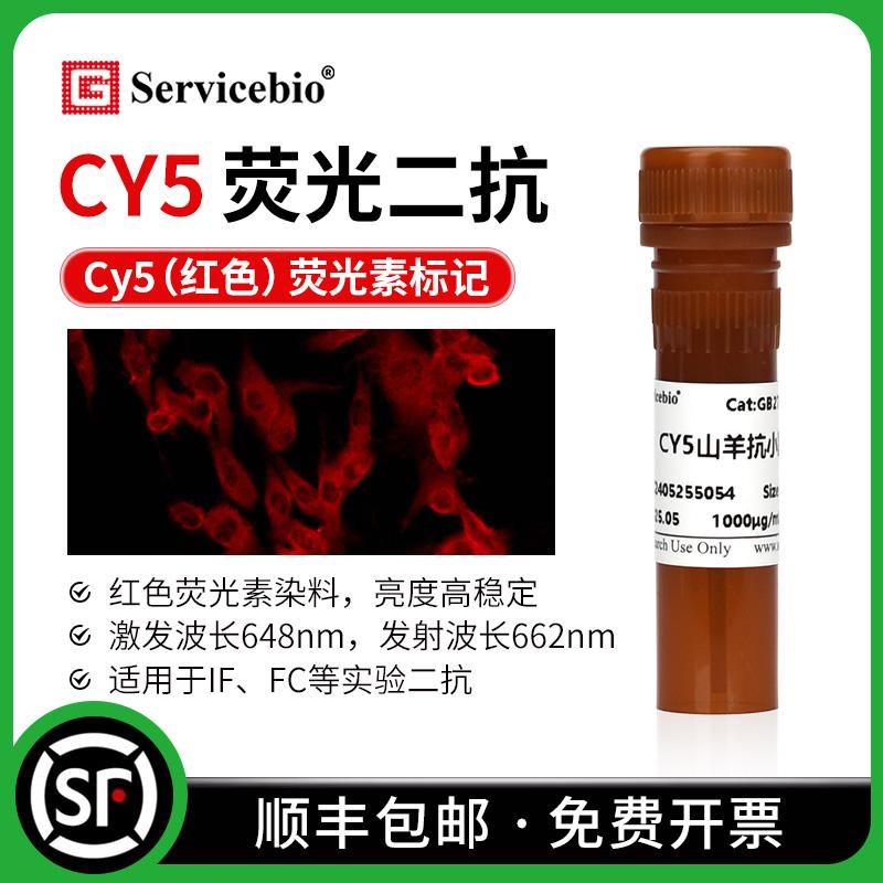 Cy5荧光素标记 红色荧光二抗 山羊抗小鼠 兔IgG (H+L) IF FC实验