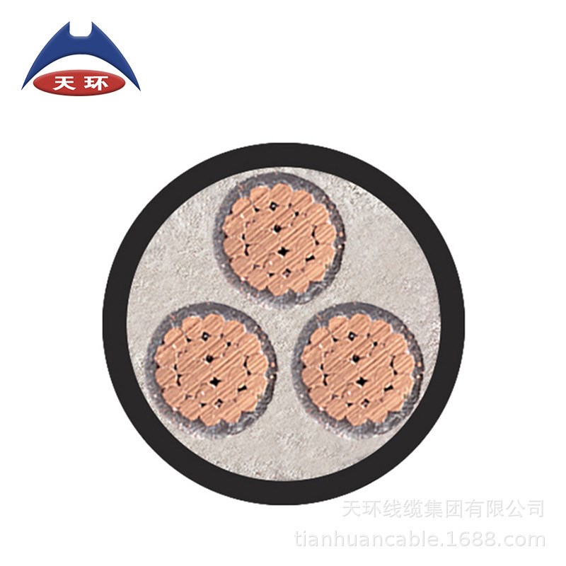 天环电力电缆ZC-YJV 3*16 国标低压铜芯 交联绝缘 6平方电缆线3芯