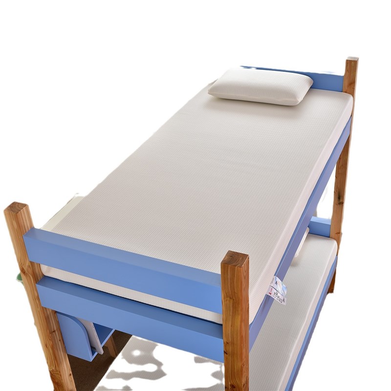 45D高密度加硬海绵垫记忆棉榻榻米床垫软垫家用学生宿舍垫被租房