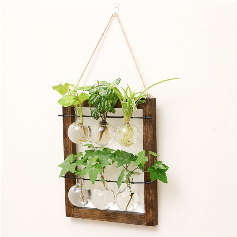 创意绿萝水培植物玻璃透明花瓶插花水养花盆麻绳试管挂墙客厅摆件