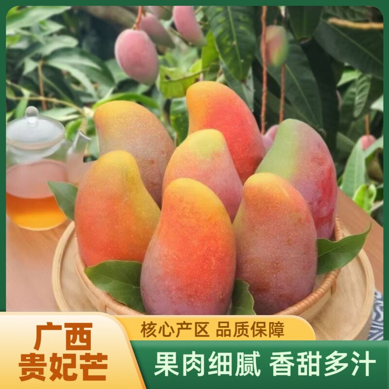 【到手带箱5斤】广西贵妃芒应季水果头茬芒果皮薄香甜多汁坏果包