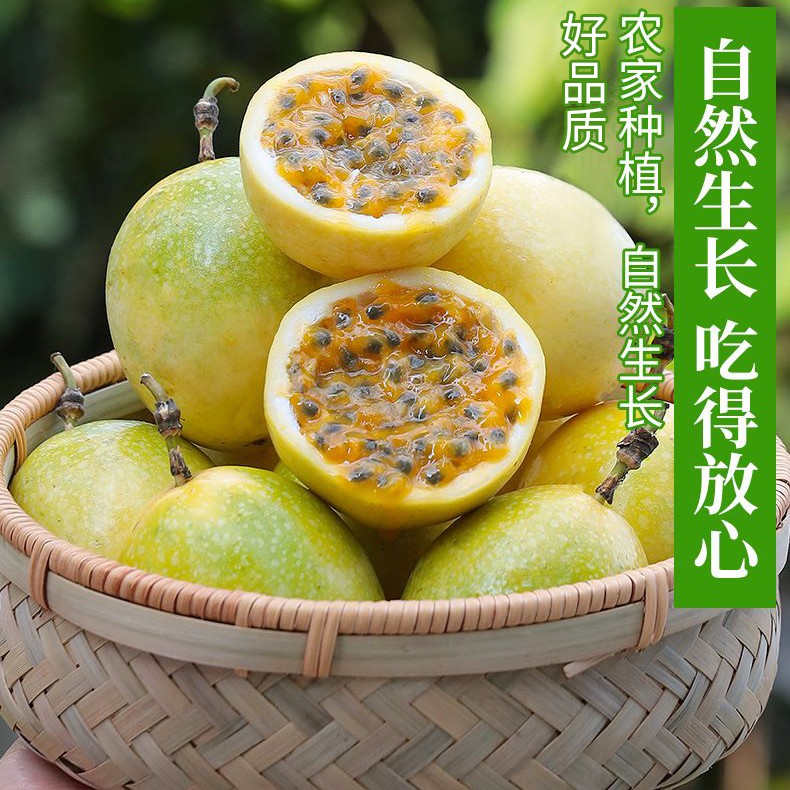 【湛隆】黄金百香果10个/15个装 单果70-90g