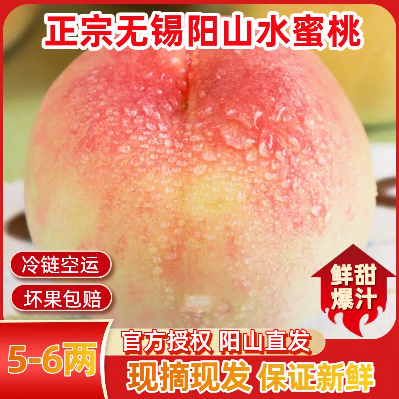 【5-6两】正宗无锡阳山水蜜桃6/8个新鲜甜日川爆汁软水果礼盒顺丰