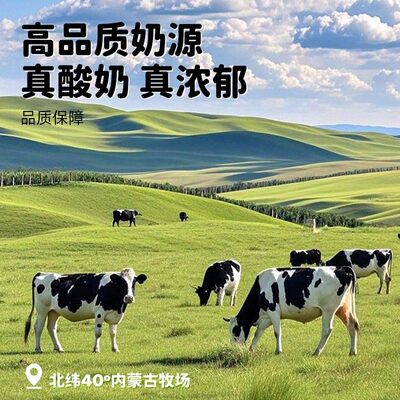 西域美农欧若姆烤酸奶118g高钙高蛋白质儿童酸奶零食内蒙特产奶片