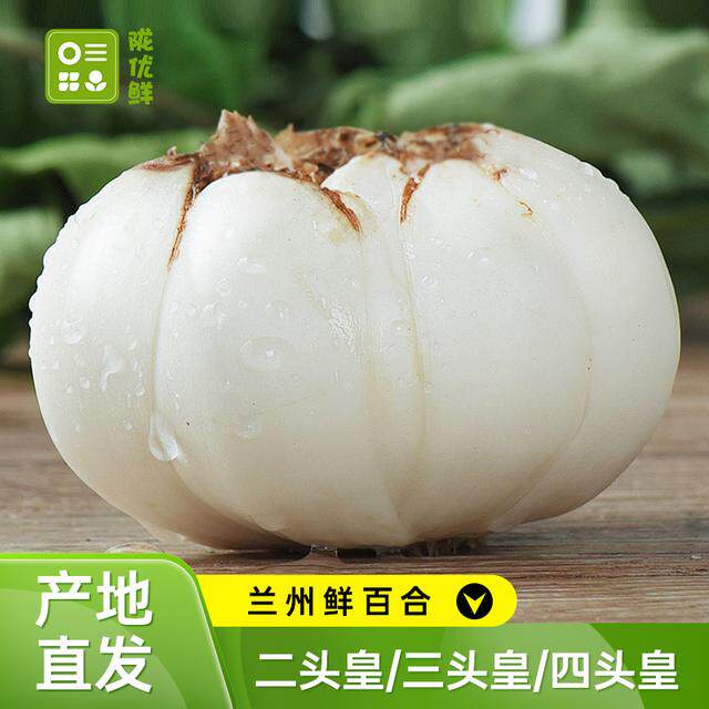 【陇优鲜】甘肃鲜百合 1/2斤装 四头皇/三头皇/二头皇产地直发