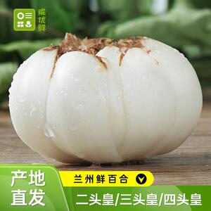 【陇优鲜】甘肃鲜百合 1/2斤装 四头皇/三头皇/二头皇产地直发