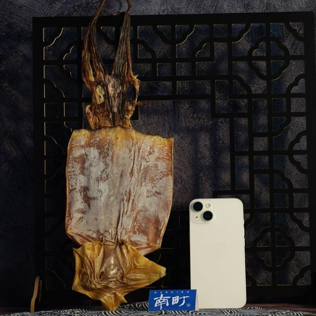 nanding/南町大鱿鱼干500g淡晒新鲜海鲜干货炒菜切丝煲汤家用烹饪