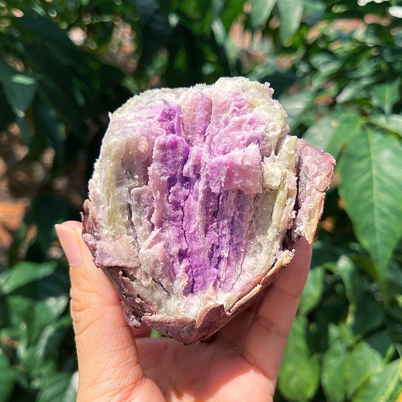 网红冰淇淋番薯新鲜一点红红薯农家自种紫心紫薯粉糯地瓜