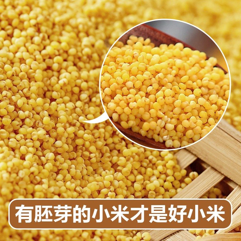 陕北米脂油黄小米留胚率99%头茬新米杂粮香谷米农家原产地直发