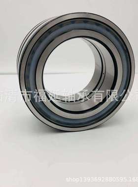 进口合资EOY满滚子轴承SL045008-D-PP NNF5008ADB-2LSV