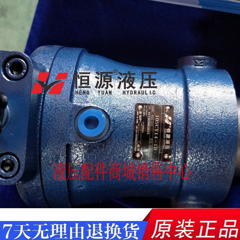 10/16/25/40/63/80/100/160/250SCY14-1B柱塞泵液压轴向江苏恒源