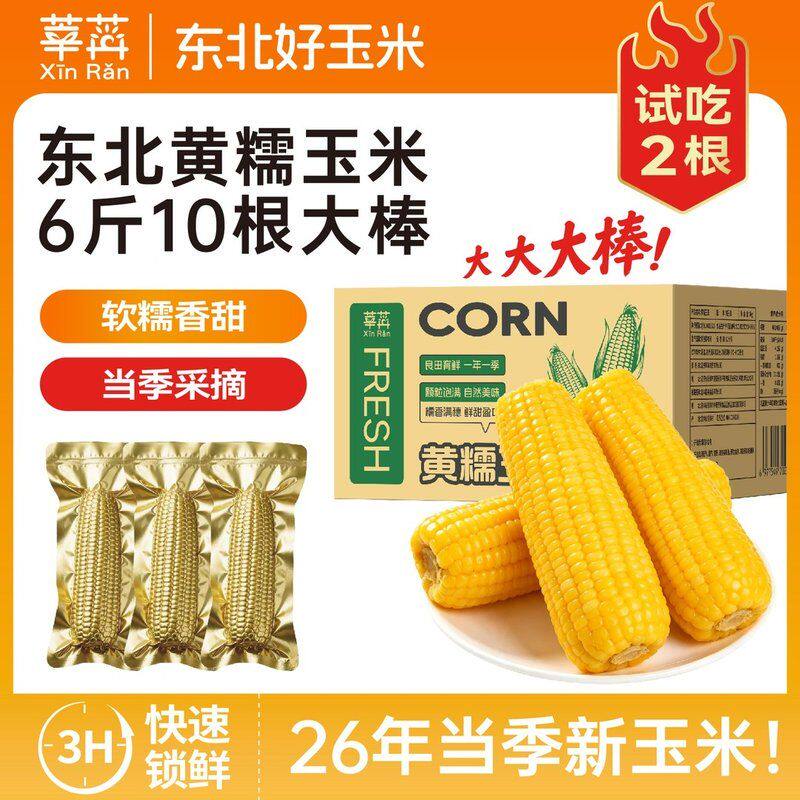 【26年新玉米】试吃2根莘苒新鲜东北吉林黄甜糯玉米300克*10根粗
