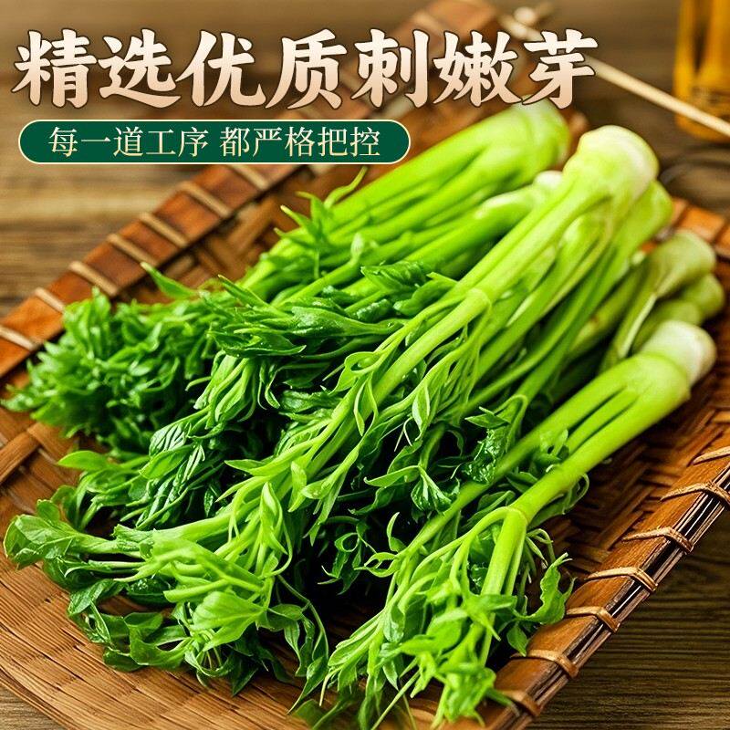 昊七七东北刺嫩芽山菜刺老芽鲜嫩美味凉拌蘸酱炒鸡蛋鲜嫩家用袋装