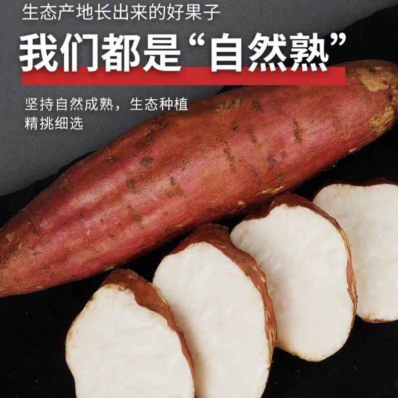 助农特惠 4.5斤装正宗哈密冰糖心白薯新鲜现挖粉糯甘甜 瓤白如玉