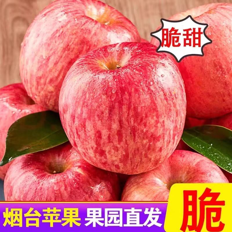 【十斤特大果】山东烟台红富士苹果产地直发脆甜栖霞苹果坏果包赔