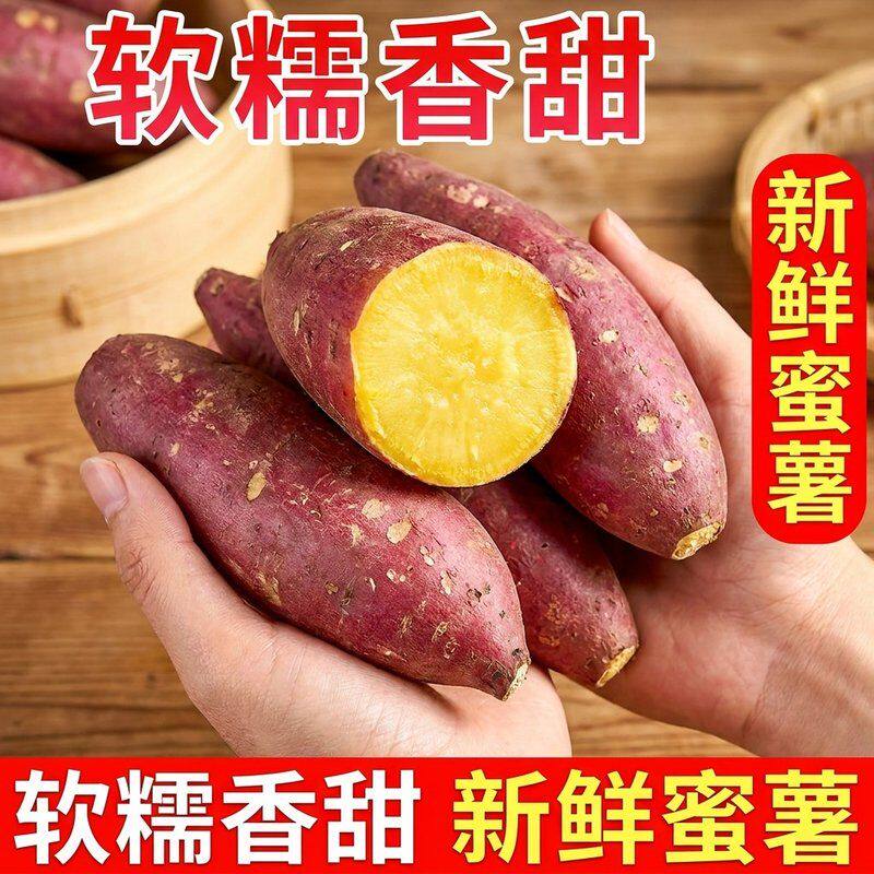 【买5斤送4斤】到手9斤正宗龙九蜜营红皮黄心地瓜红薯坏果包赔