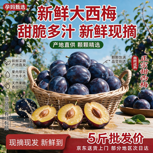 新鲜 现摘大西梅脆甜多汁当季鲜果孕妇可吃大西梅坏果包赔