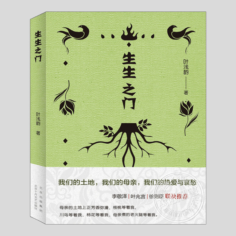 生生之门(正版)叶浅韵作品,李敬泽/叶兆言/徐则臣推荐,中国当代现代文学故事散文书籍热爱乡土,感恩生活小说北京十月文艺出版社
