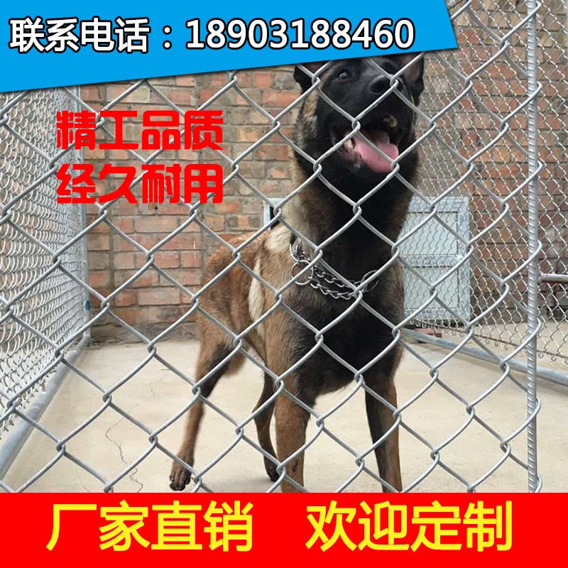 热镀锌铁丝钢丝勾花网围栏菱形网格养殖网果园网荷兰鸡不锈钢网