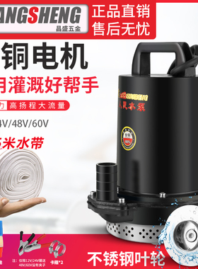 上海人民12V24V48V60V直流潜水泵抽水泵家用农用刷车电动车高扬程