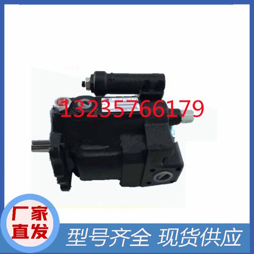 P08/P16/P22/P36/P46-A0/A1/A2/A3-F-R-01台湾FURNAN福南柱塞泵