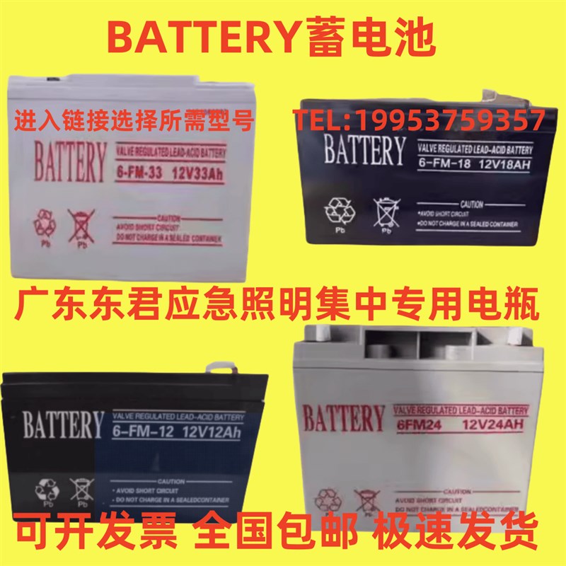 BATTERY蓄电池 6-FM-33 12V33AH9AH12A18A24A55AH应急照明36V电瓶