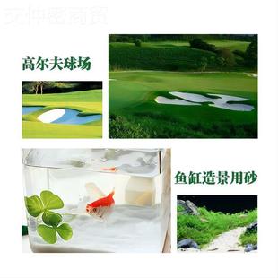 地形地貌盘乌龟造景鱼缸装 饰海白沙砂玩河沙具白沙色细OWH沙子