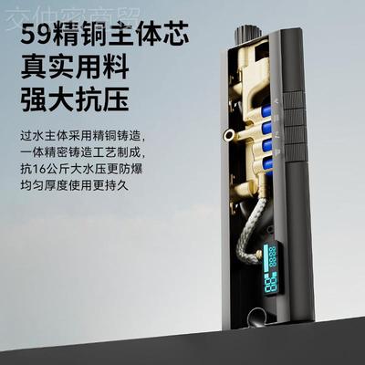 高端贴铜枪灰大置物墙安热装淋浴花洒19195套装冷多功纯能增压按