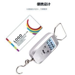 准确称重电子称手提秤便携式迷你包裹快递称手提弹簧秤50kg