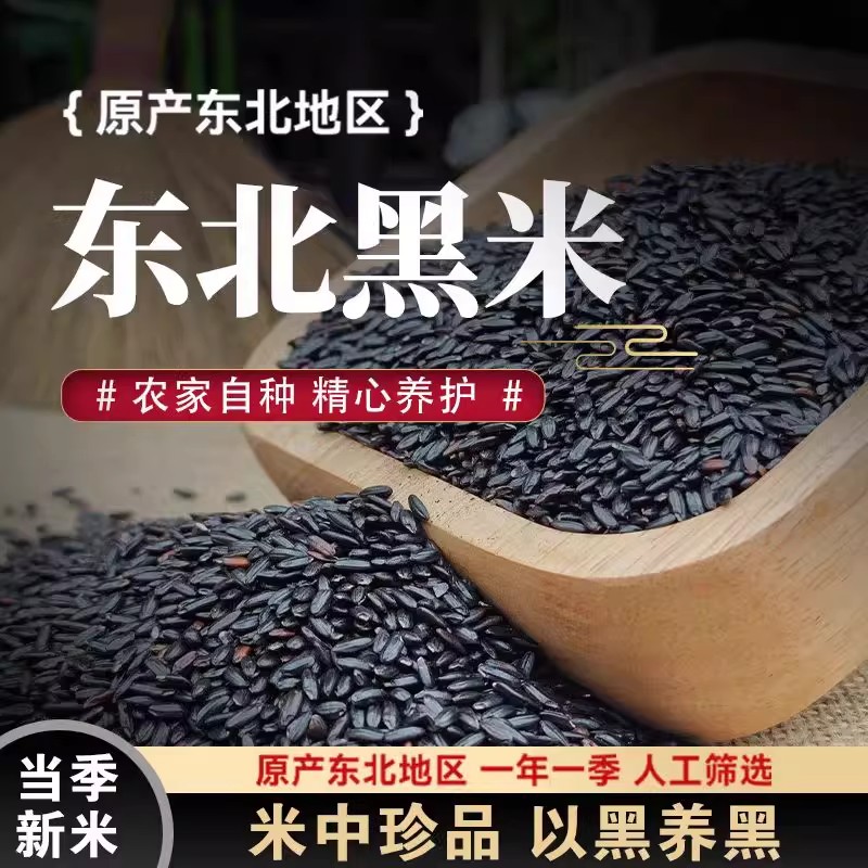 东北五常黑米新米杂粮孕妇紫糯米