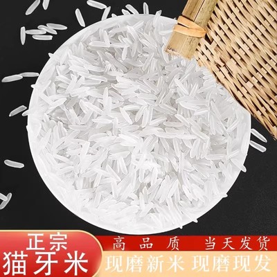新米长粒香大米大米5kg丝苗米饭