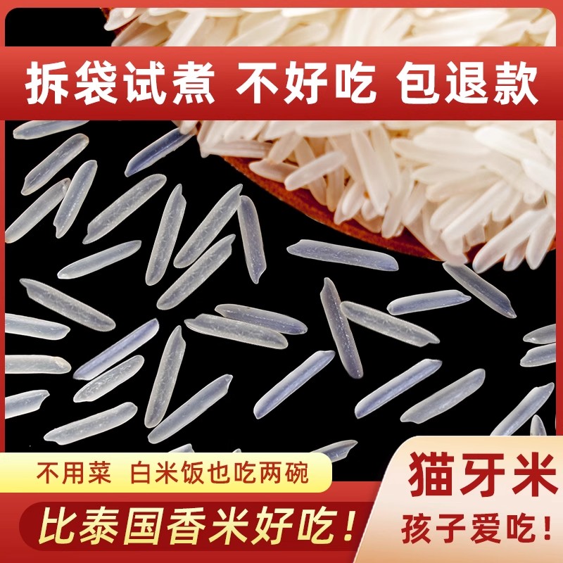 新米正宗猫牙米晚稻丝苗超长粒米