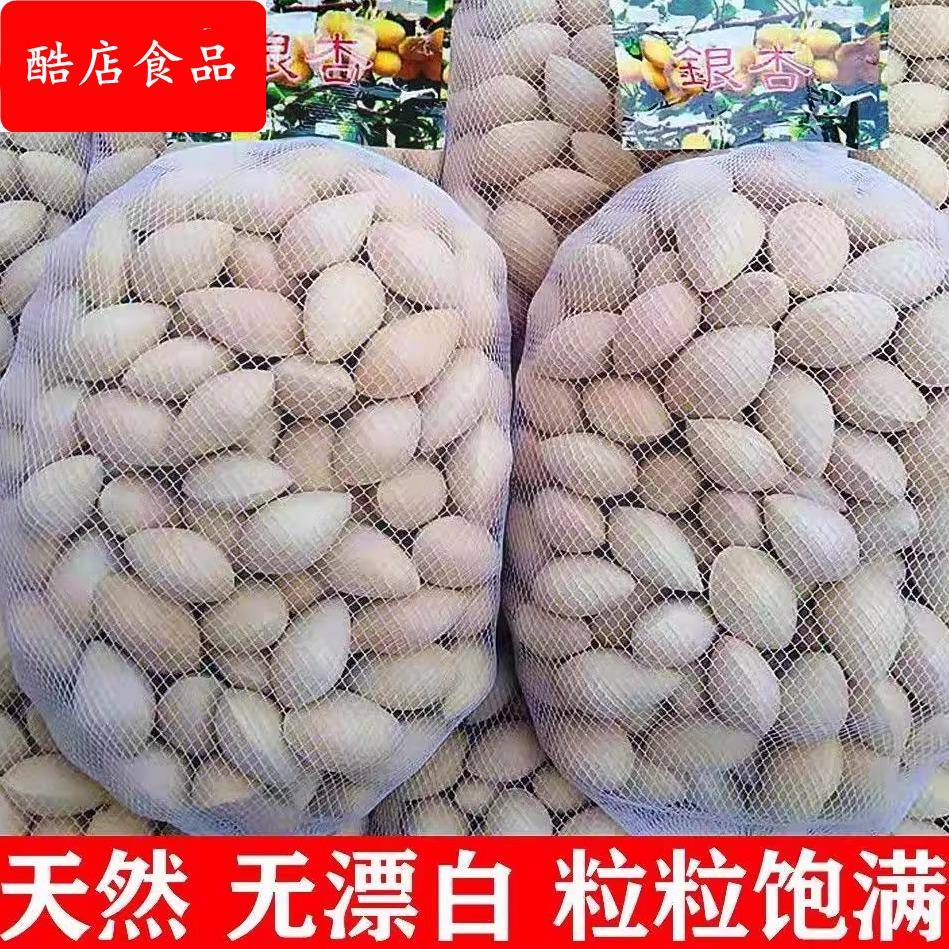 新鲜带壳银杏果 白果银杏果生果 恩恩熊大颗白果 无漂白银杏果5斤