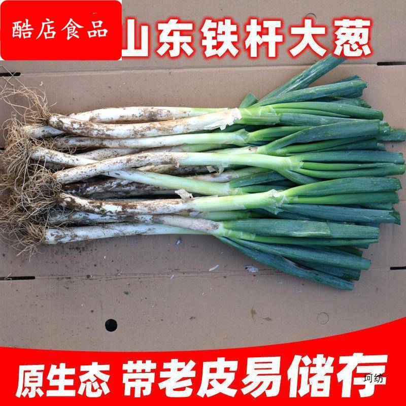 山东大葱新鲜甜葱级5/9斤铁杆大葱非章丘长白毛葱蘸酱嫩葱包邮