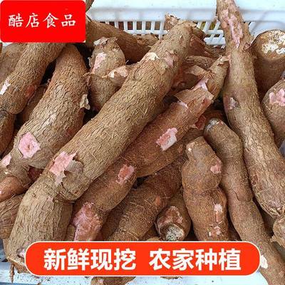 广西黄心黄肉木薯糖水店同款蛋黄新鲜面包白肉木薯粉糯板栗包邮