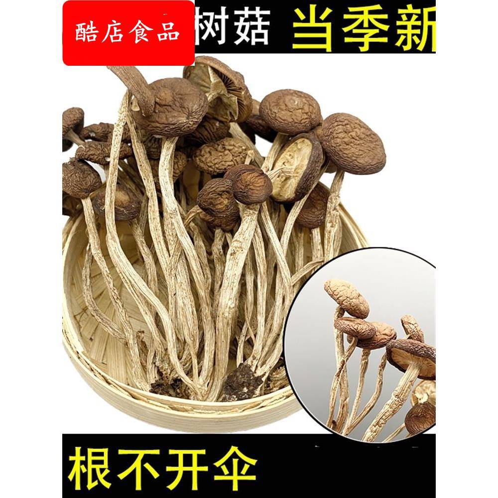 农家茶树菇干货不开伞茶薪菇非新鲜香菇蘑菇商用 菌子